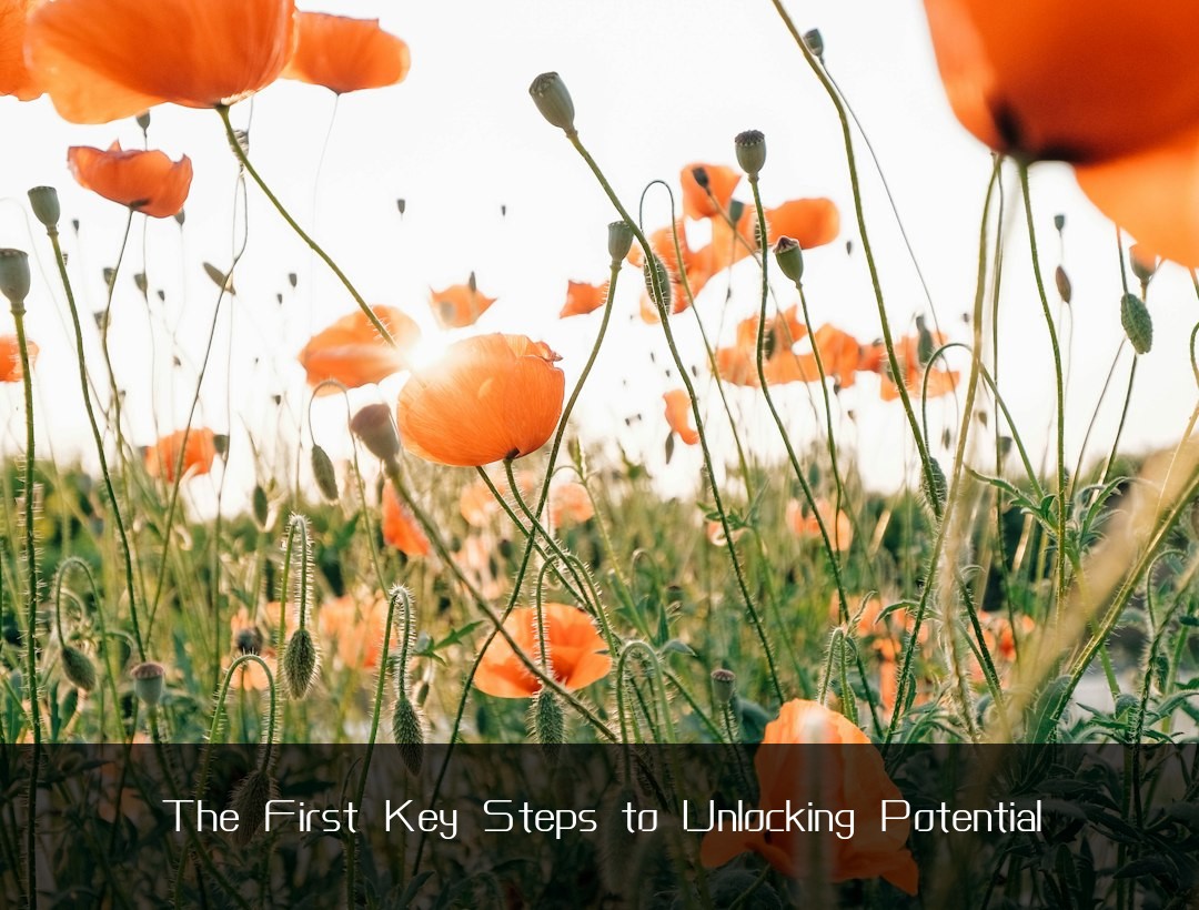 The First Key Steps to Unlocking Potential