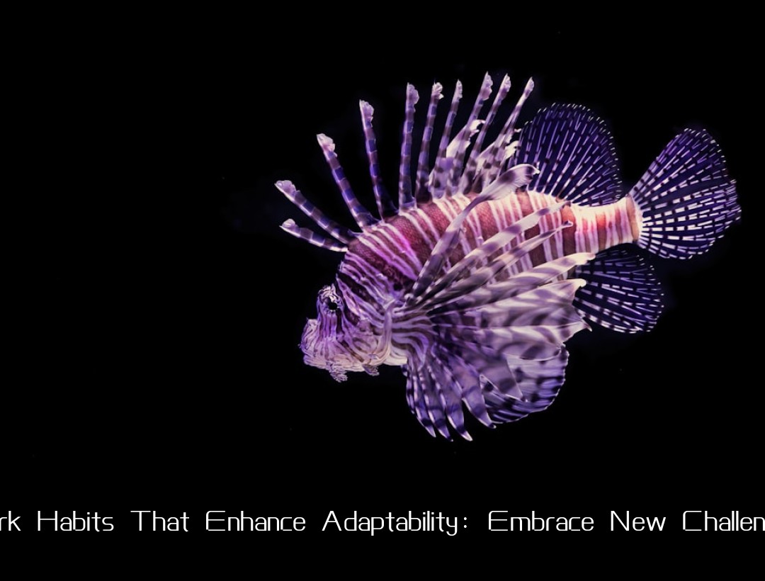 Work Habits That Enhance Adaptability: Embrace New Challenges