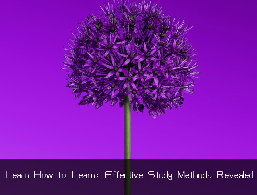 Learn How to Learn: Effective Study Methods Revealed