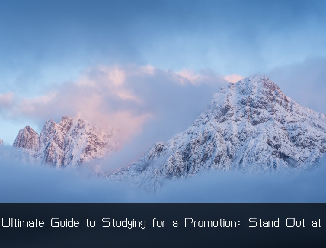 The Ultimate Guide to Studying for a Promotion: Stand Out at Work