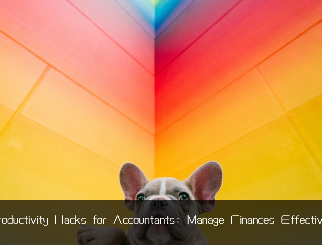 Productivity Hacks for Accountants: Manage Finances Effectively