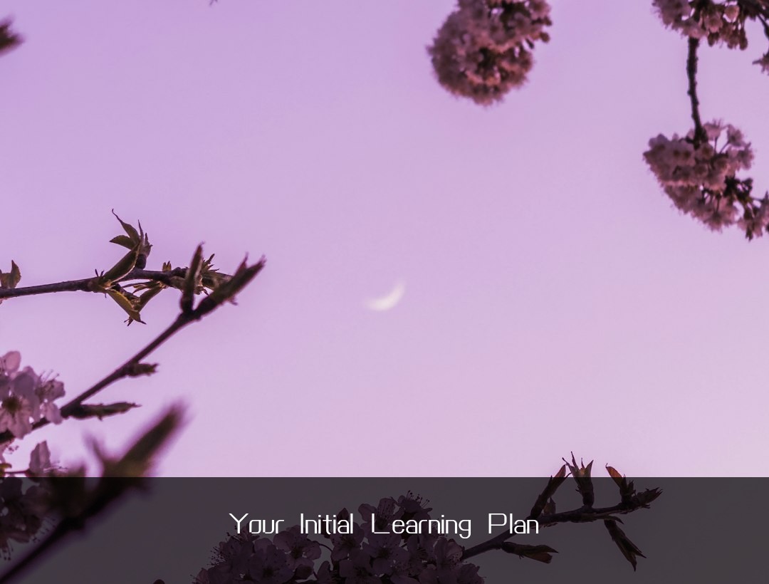Your Initial Learning Plan