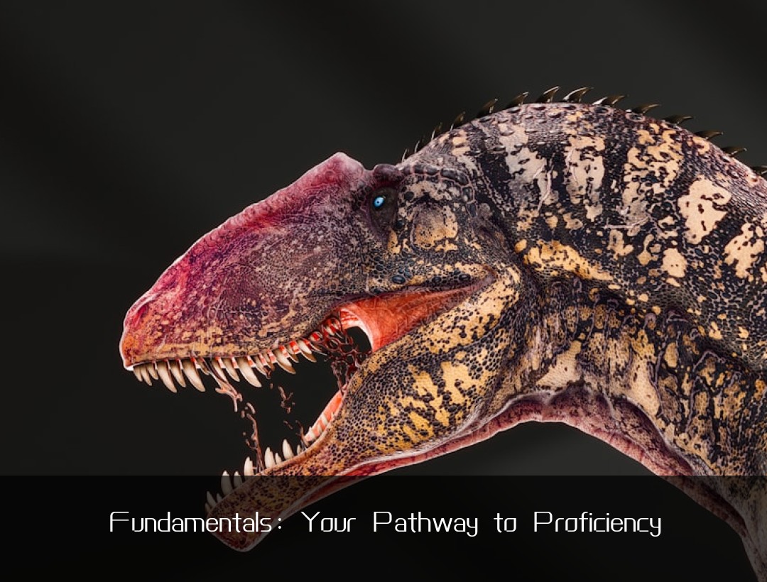 Fundamentals: Your Pathway to Proficiency