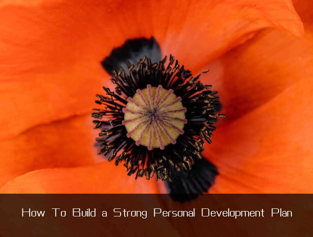 How To Build a Strong Personal Development Plan