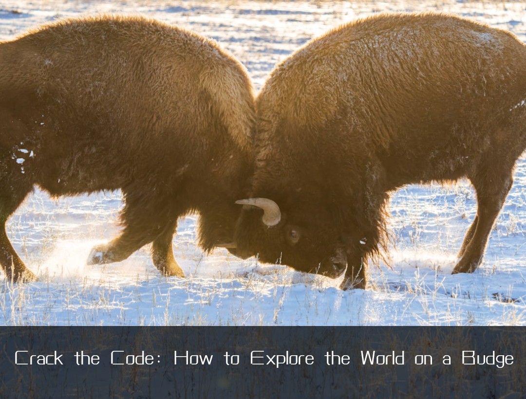 Crack the Code: How to Explore the World on a Budge