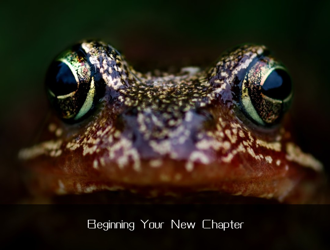 Beginning Your New Chapter
