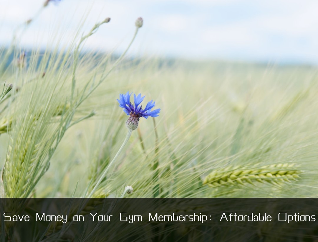 Save Money on Your Gym Membership: Affordable Options