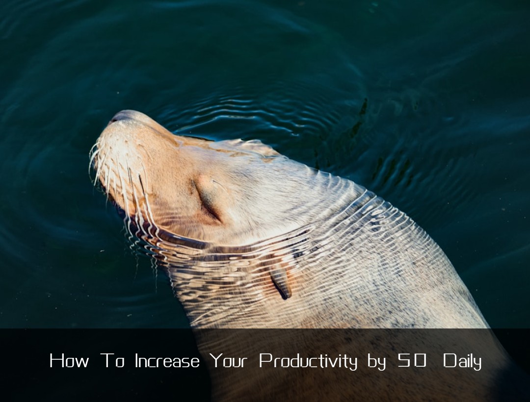 How To Increase Your Productivity by 50% Daily