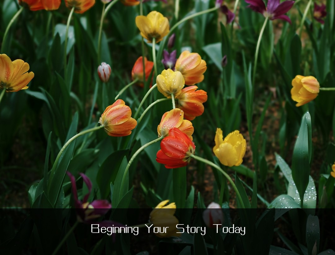 Beginning Your Story Today