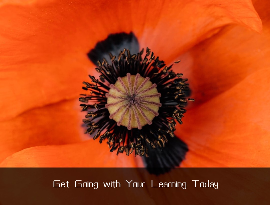 Get Going with Your Learning Today