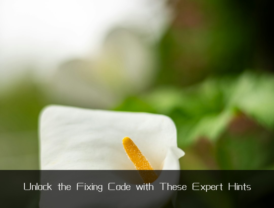 Unlock the Fixing Code with These Expert Hints