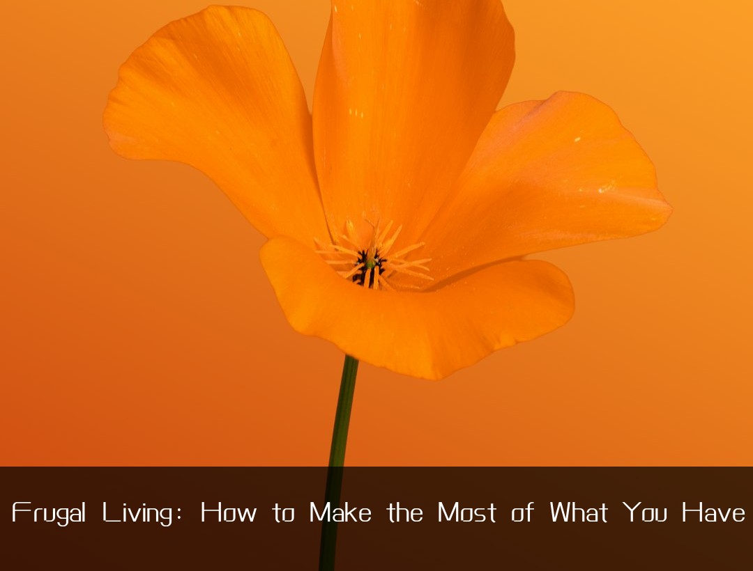 Frugal Living: How to Make the Most of What You Have
