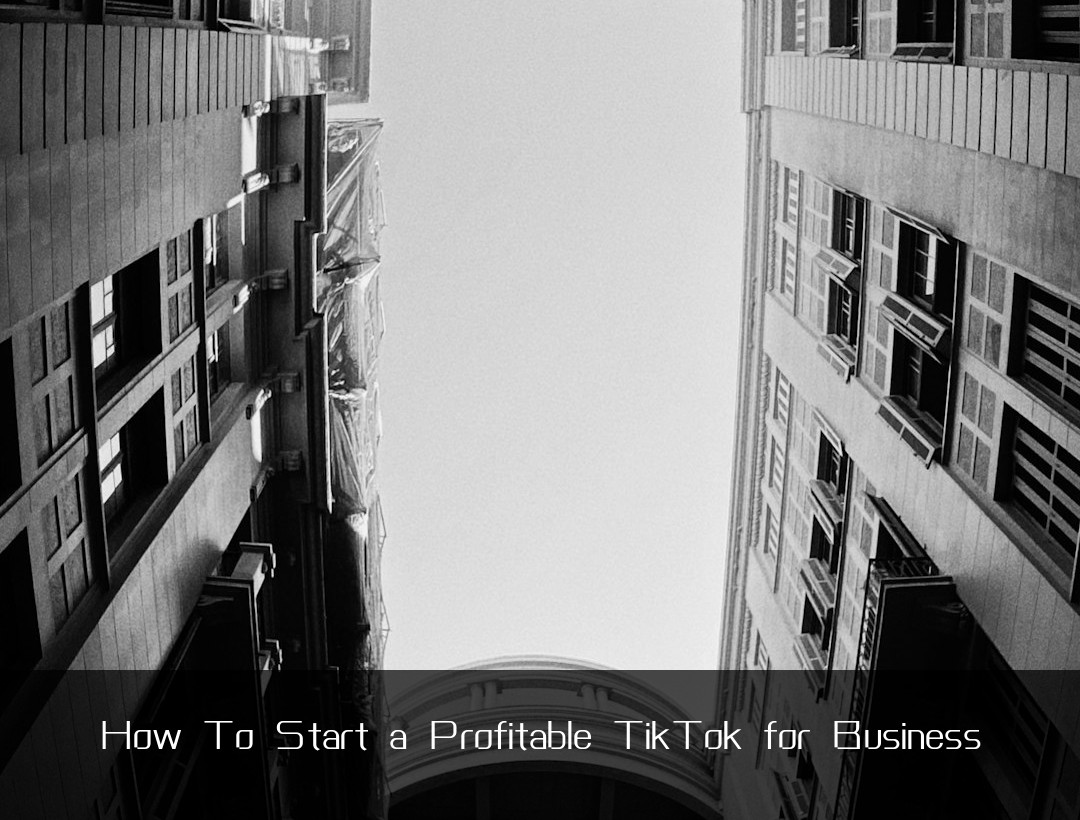 How To Start a Profitable TikTok for Business