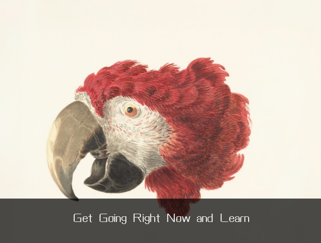Get Going Right Now and Learn
