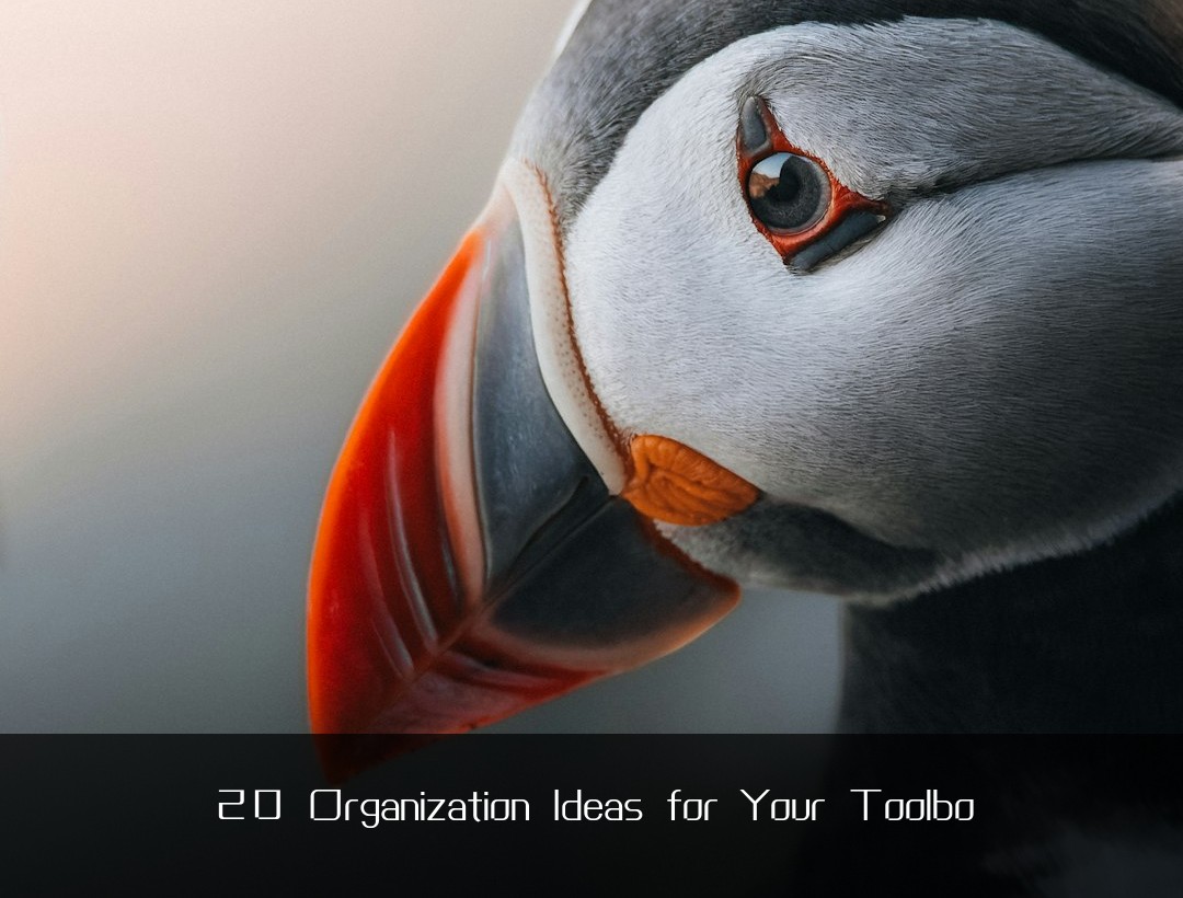20 Organization Ideas for Your Toolbo