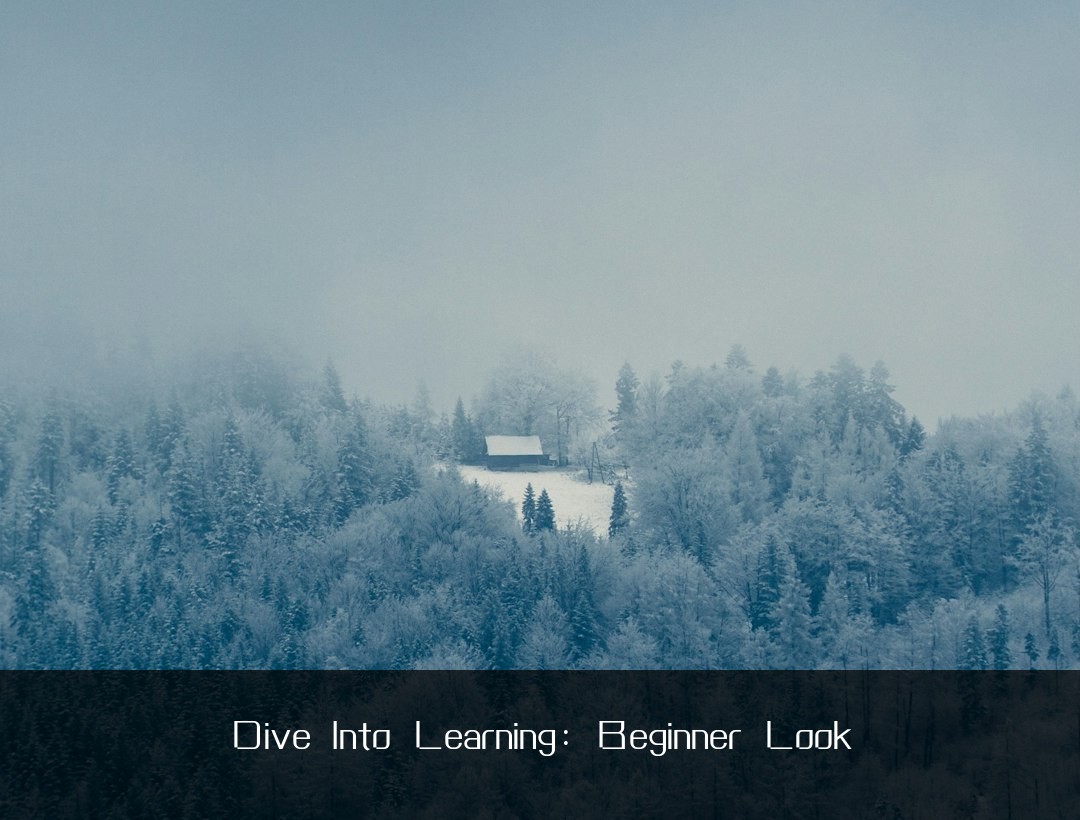 Dive Into Learning: Beginner Look