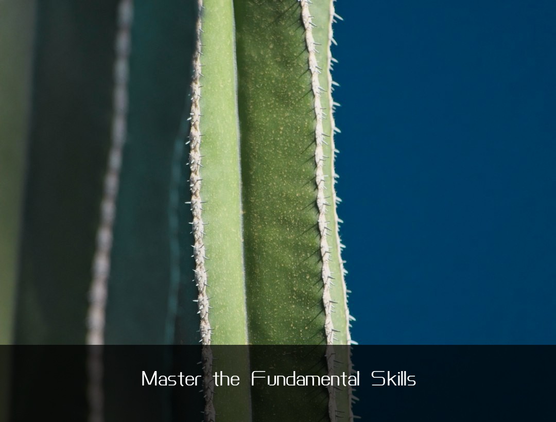 Master the Fundamental Skills