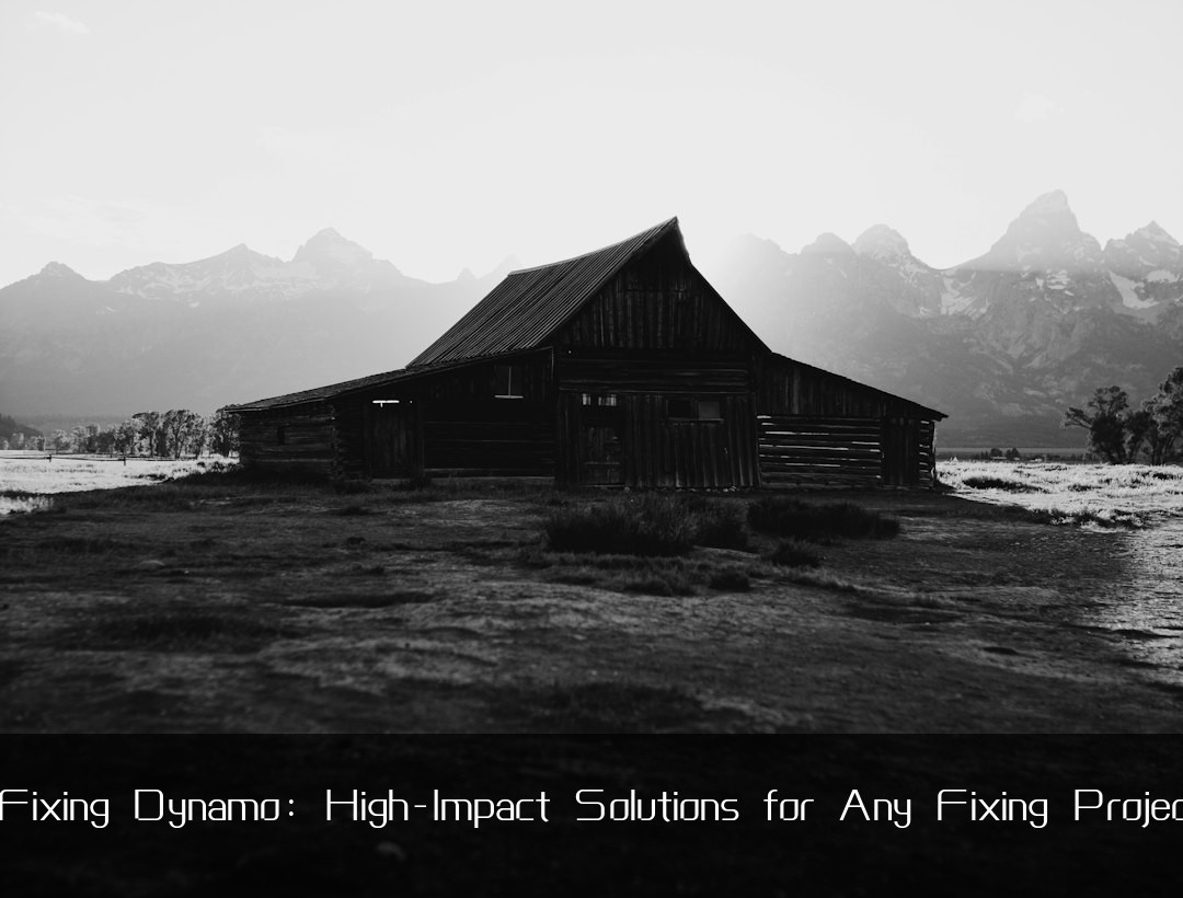 Fixing Dynamo: High-Impact Solutions for Any Fixing Projec