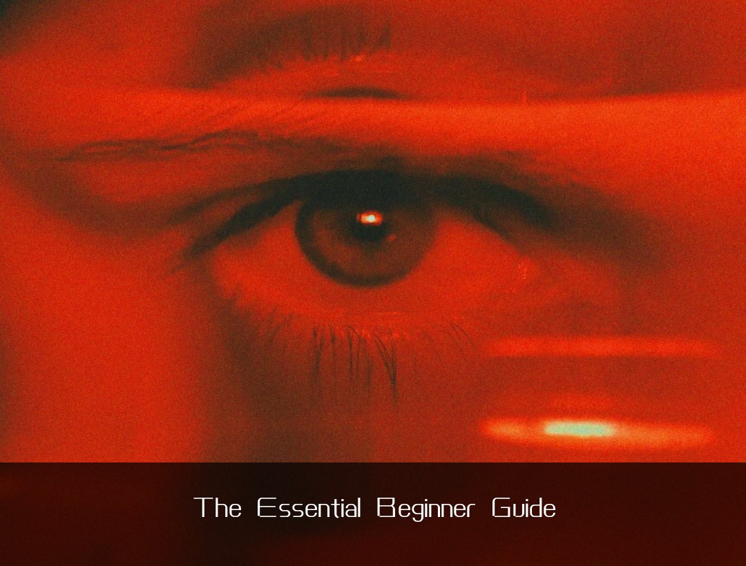 The Essential Beginner Guide