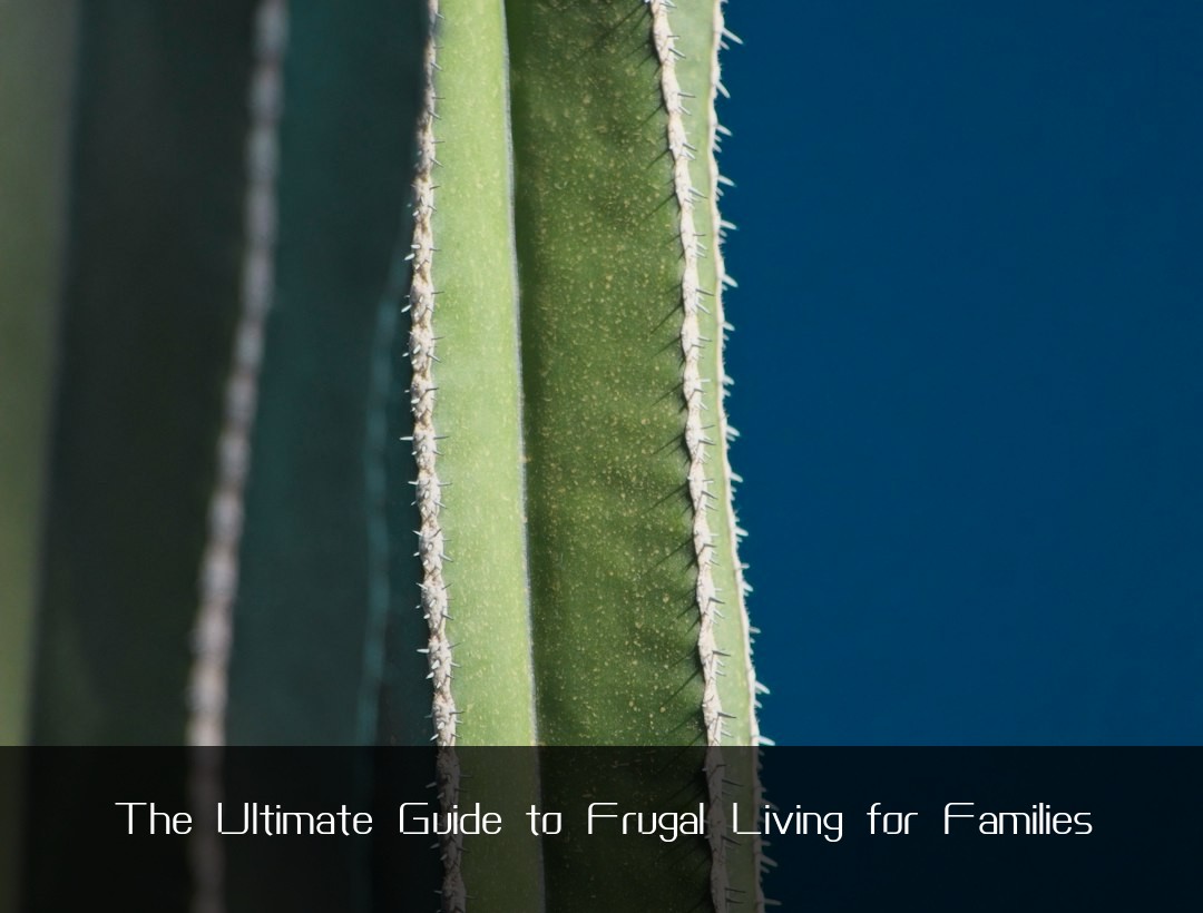 The Ultimate Guide to Frugal Living for Families