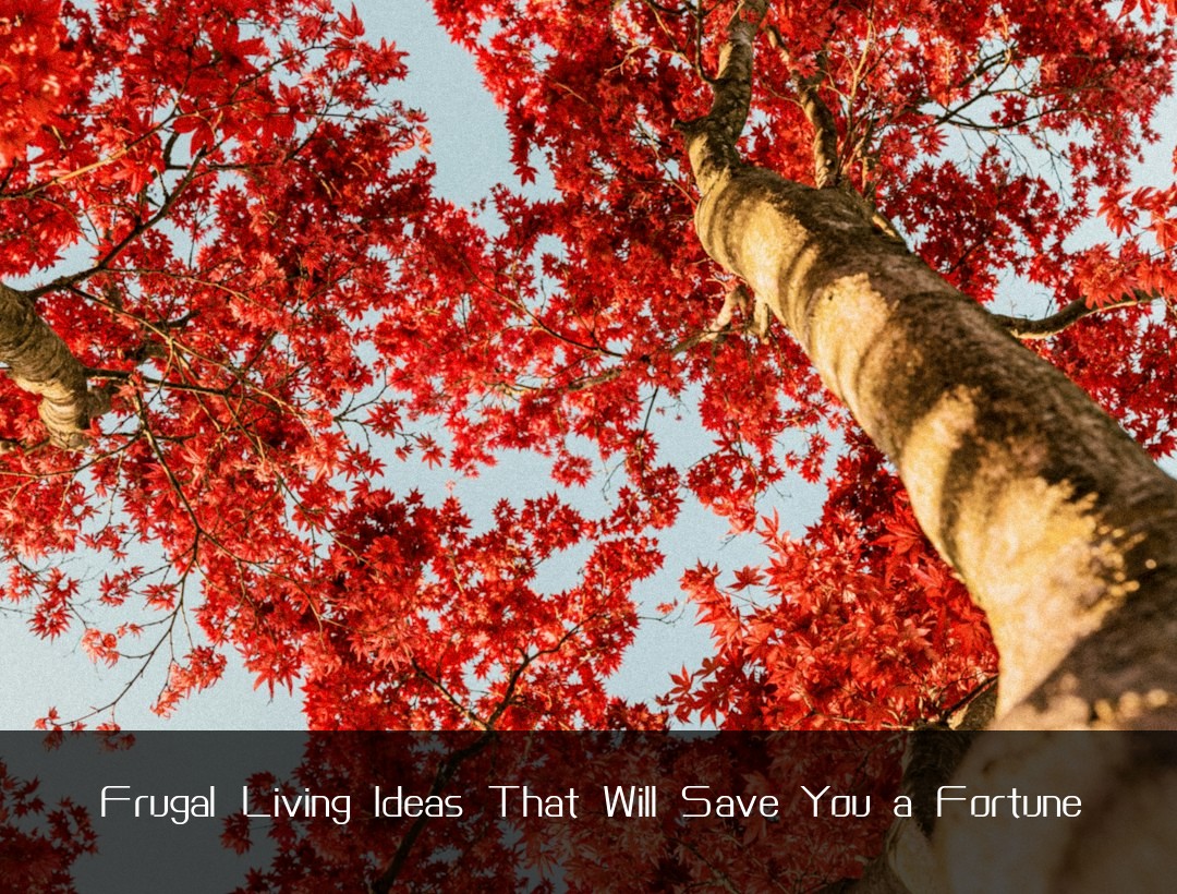 Frugal Living Ideas That Will Save You a Fortune