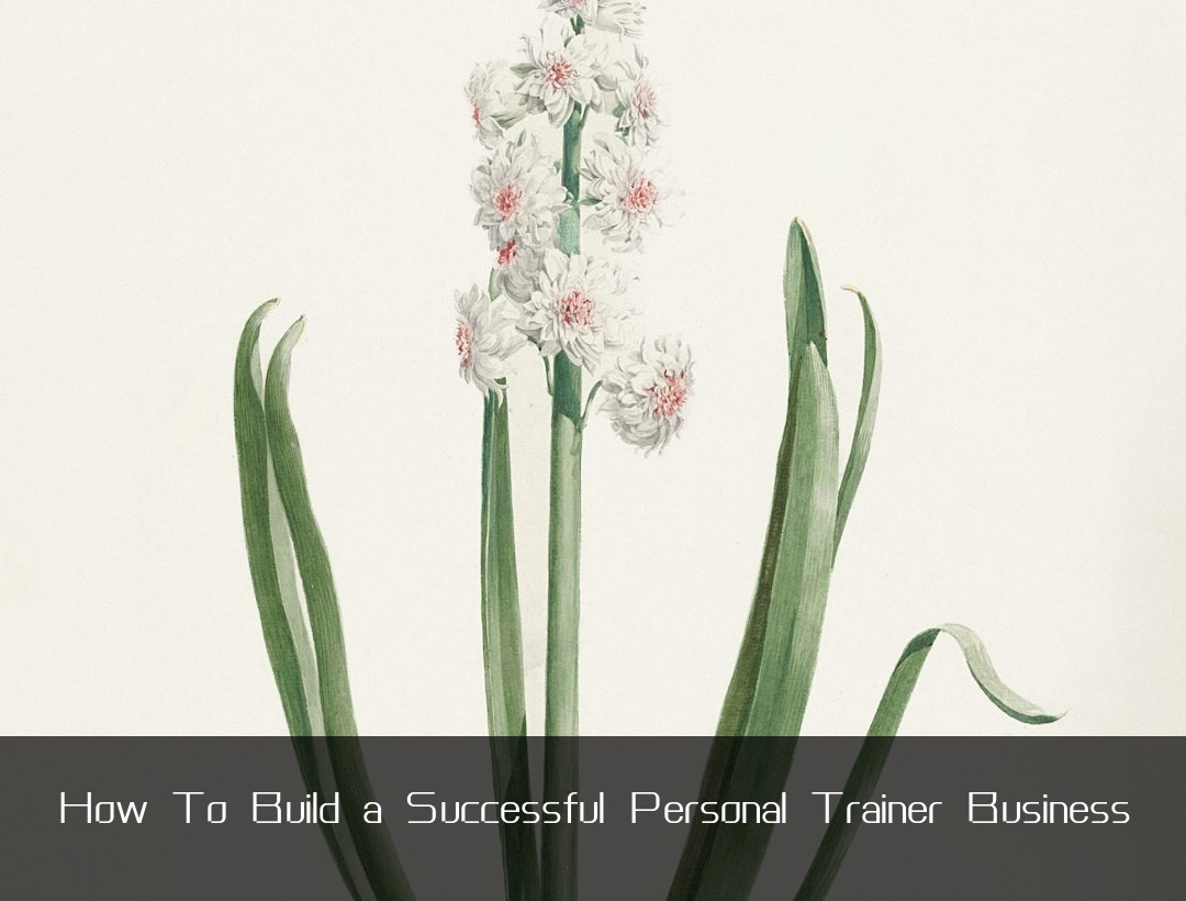 How To Build a Successful Personal Trainer Business