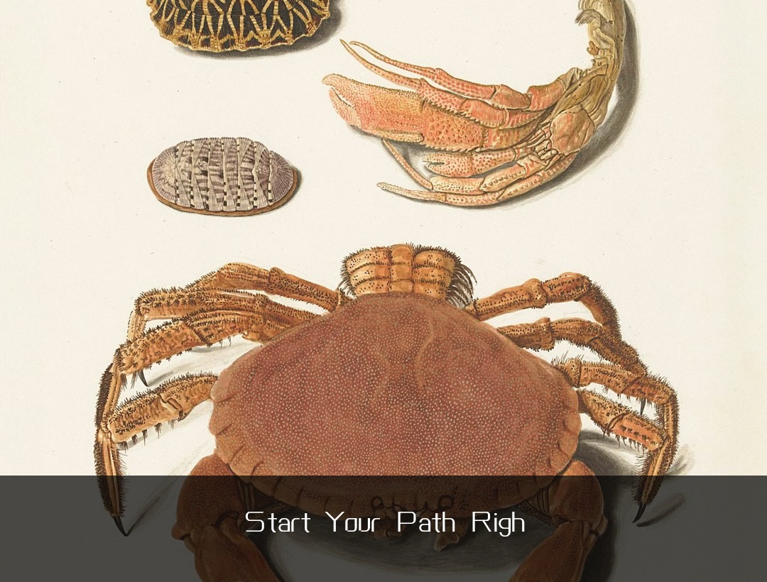 Start Your Path Righ