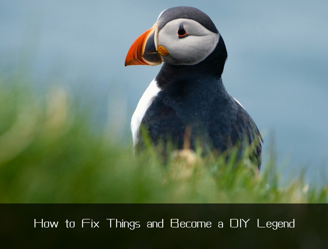 How to Fix Things and Become a DIY Legend