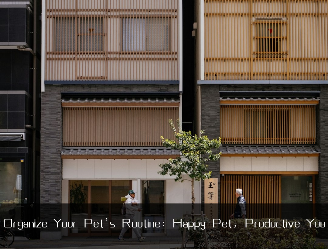 Organize Your Pet’s Routine: Happy Pet, Productive You