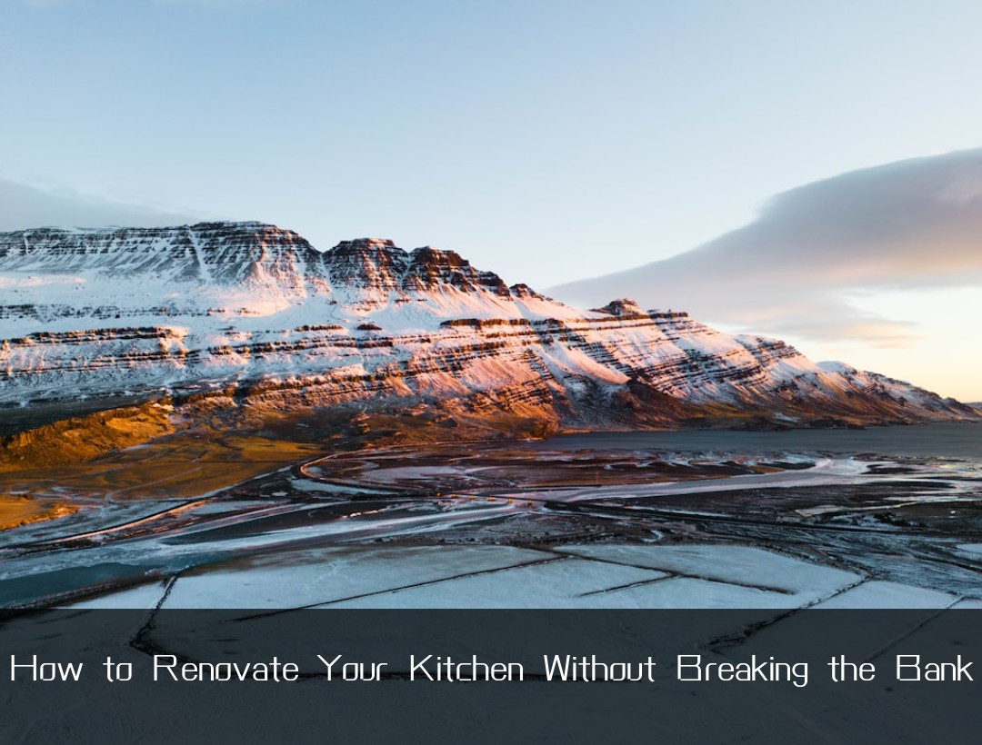 How to Renovate Your Kitchen Without Breaking the Bank