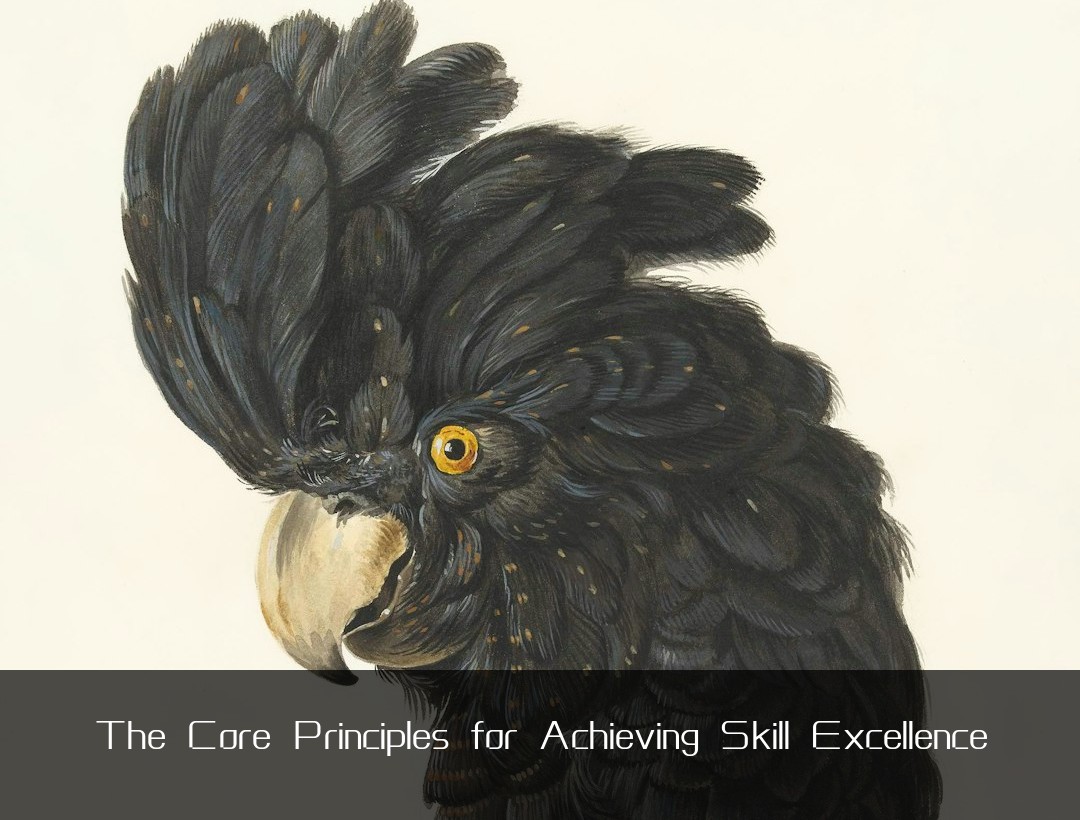 The Core Principles for Achieving Skill Excellence