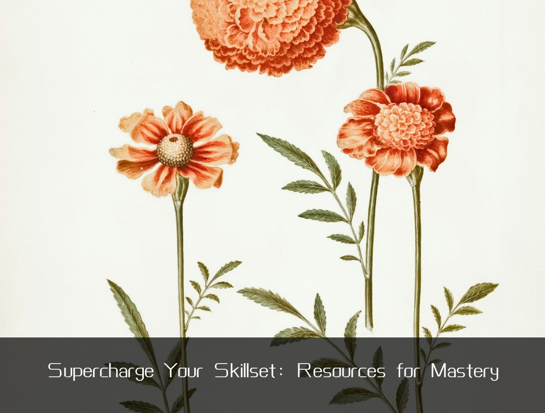 Supercharge Your Skillset: Resources for Mastery