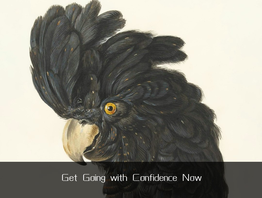 Get Going with Confidence Now