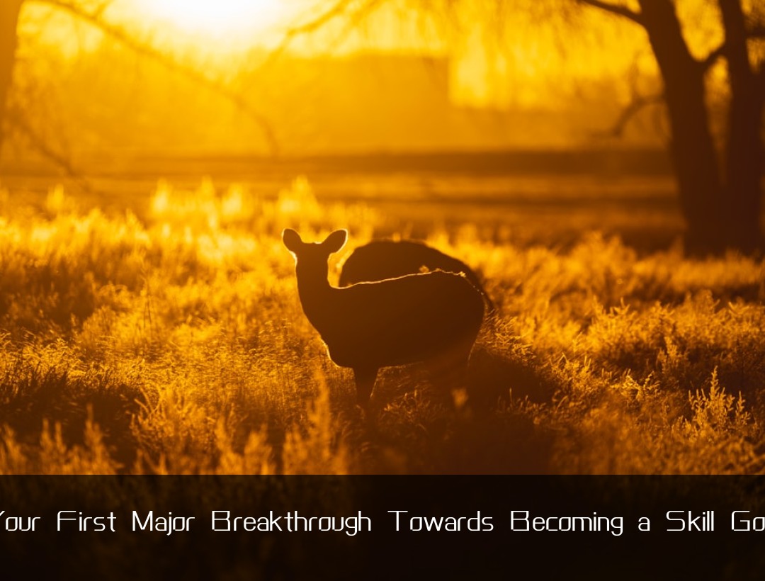 Your First Major Breakthrough Towards Becoming a Skill God