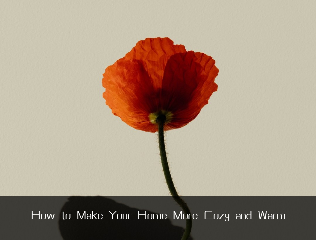 How to Make Your Home More Cozy and Warm