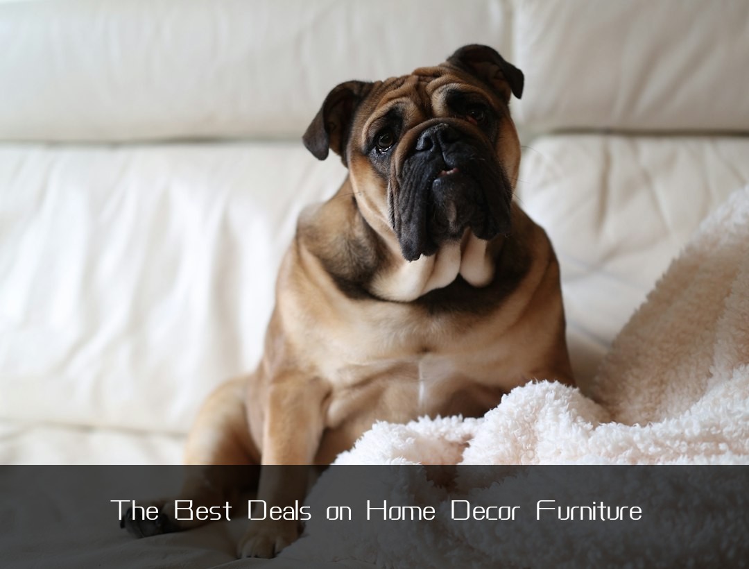 The Best Deals on Home Decor Furniture