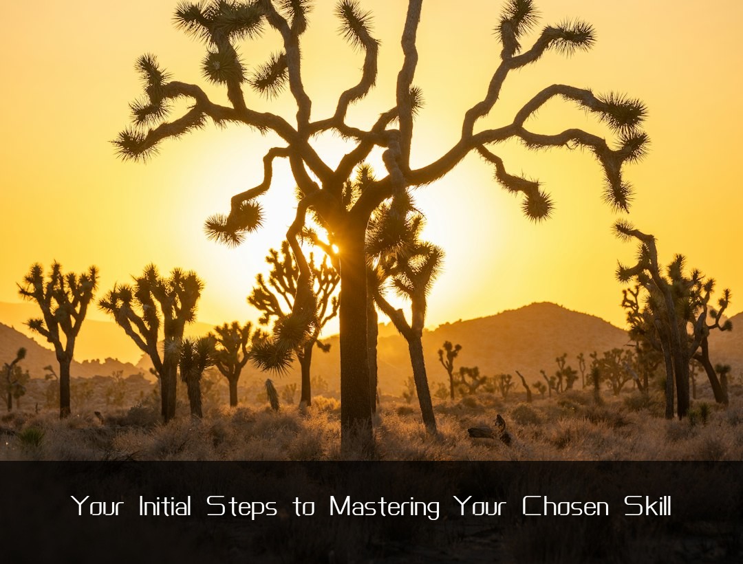 Your Initial Steps to Mastering Your Chosen Skill