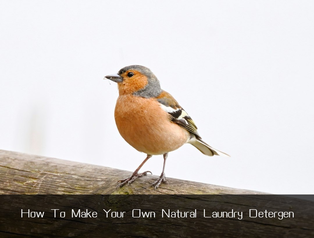 How To Make Your Own Natural Laundry Detergen
