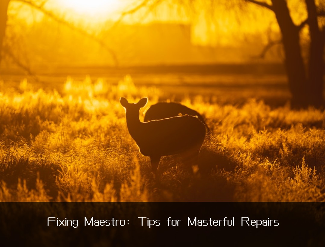 Fixing Maestro: Tips for Masterful Repairs