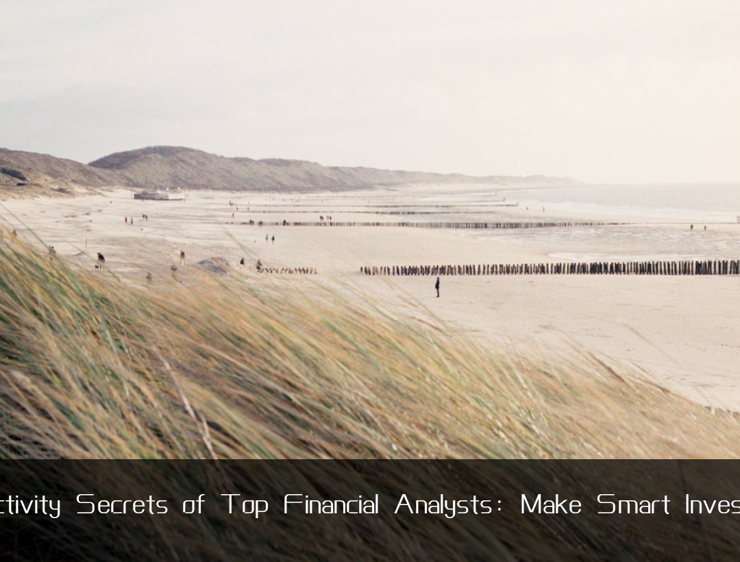 Productivity Secrets of Top Financial Analysts: Make Smart Investments