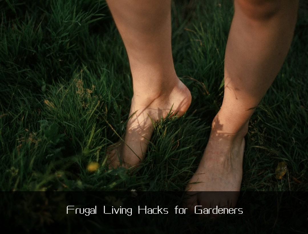 Frugal Living Hacks for Gardeners