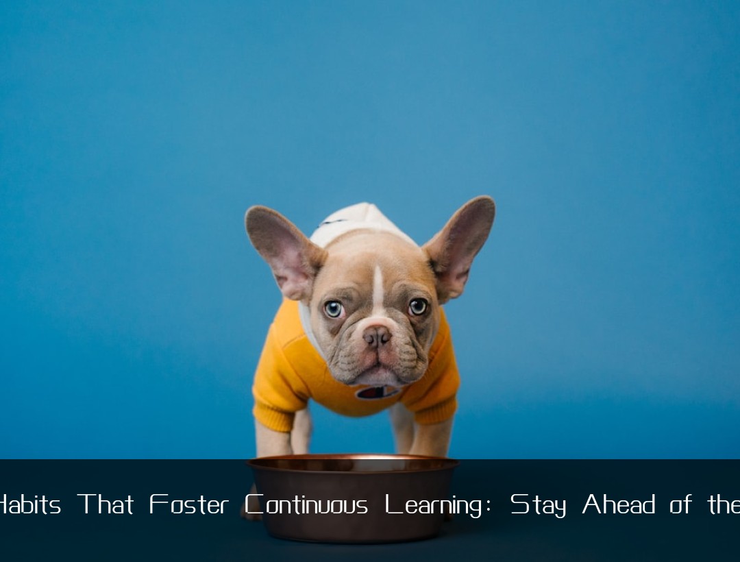 Work Habits That Foster Continuous Learning: Stay Ahead of the Curve