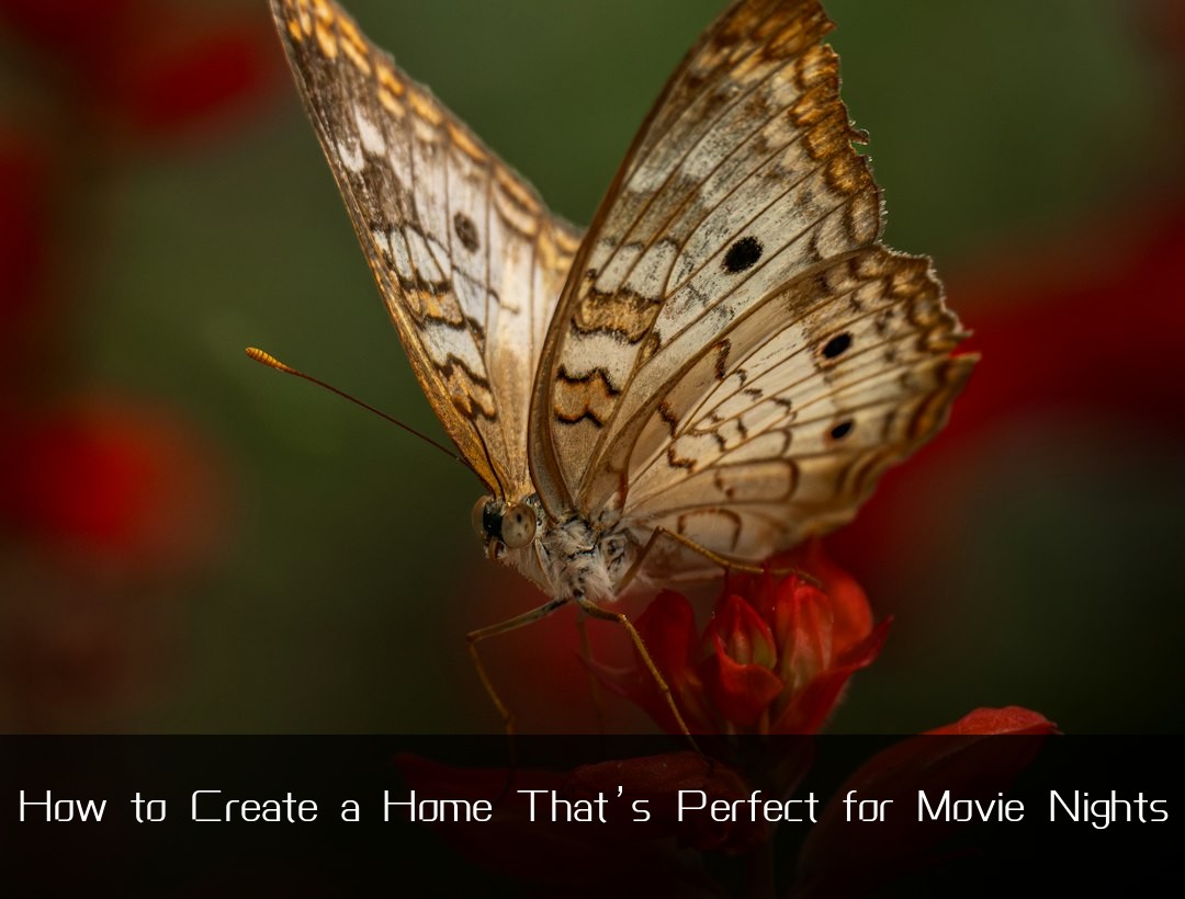 How to Create a Home That’s Perfect for Movie Nights