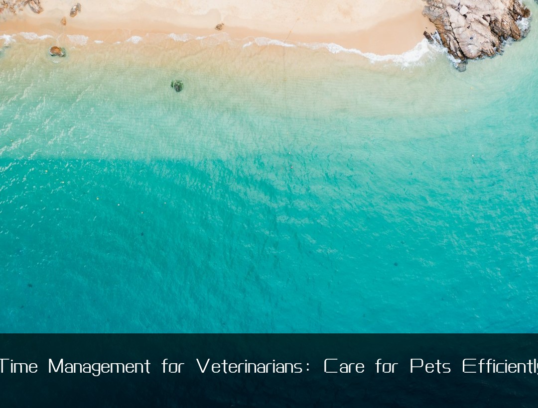 Time Management for Veterinarians: Care for Pets Efficiently