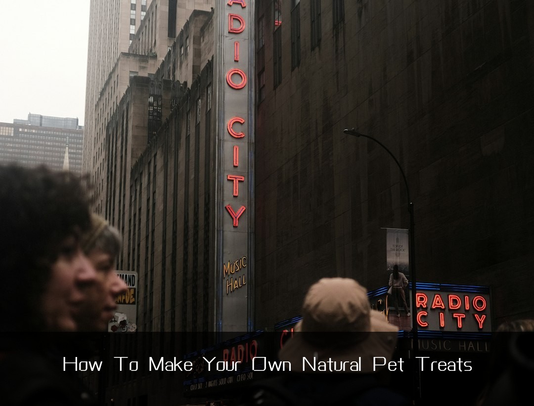 How To Make Your Own Natural Pet Treats