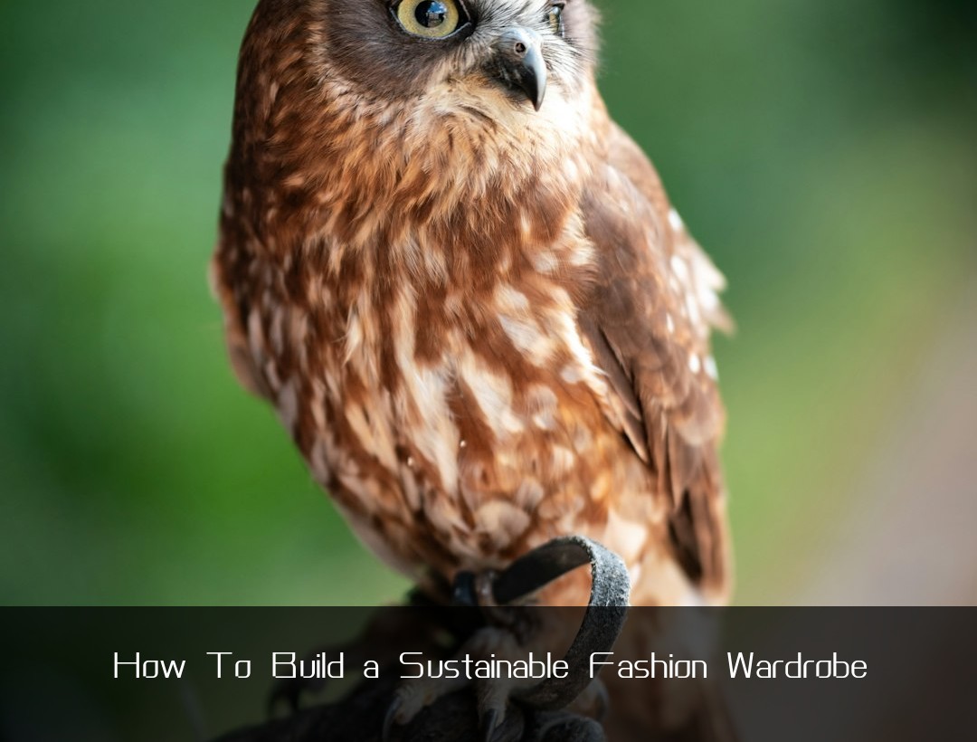 How To Build a Sustainable Fashion Wardrobe