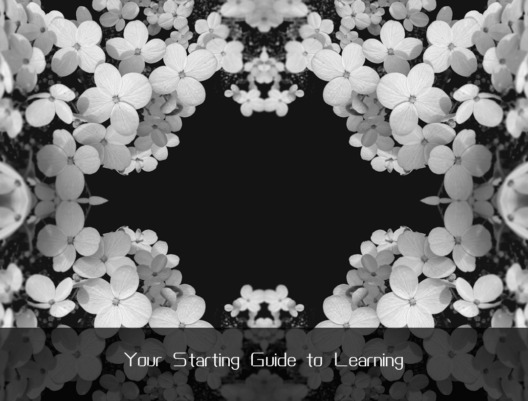Your Starting Guide to Learning
