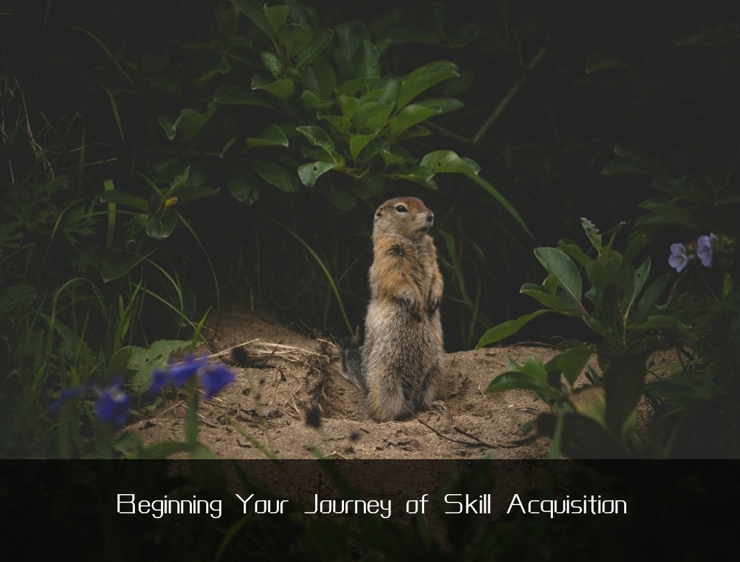Beginning Your Journey of Skill Acquisition
