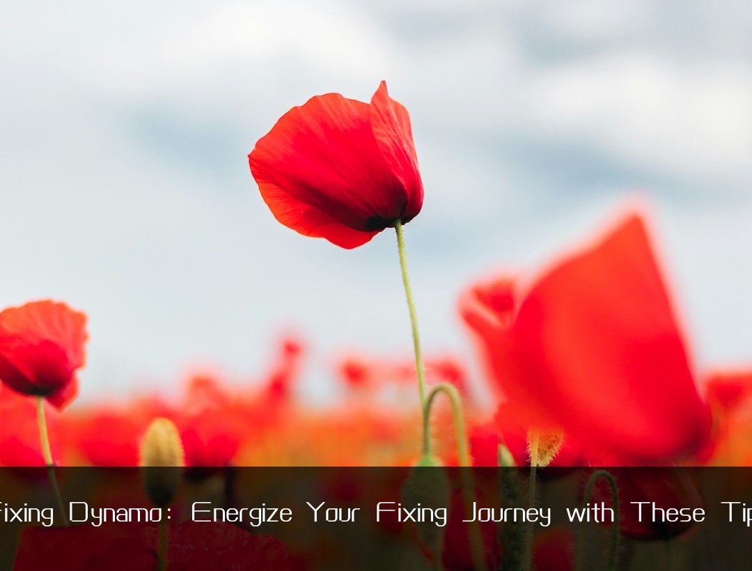 Fixing Dynamo: Energize Your Fixing Journey with These Tips