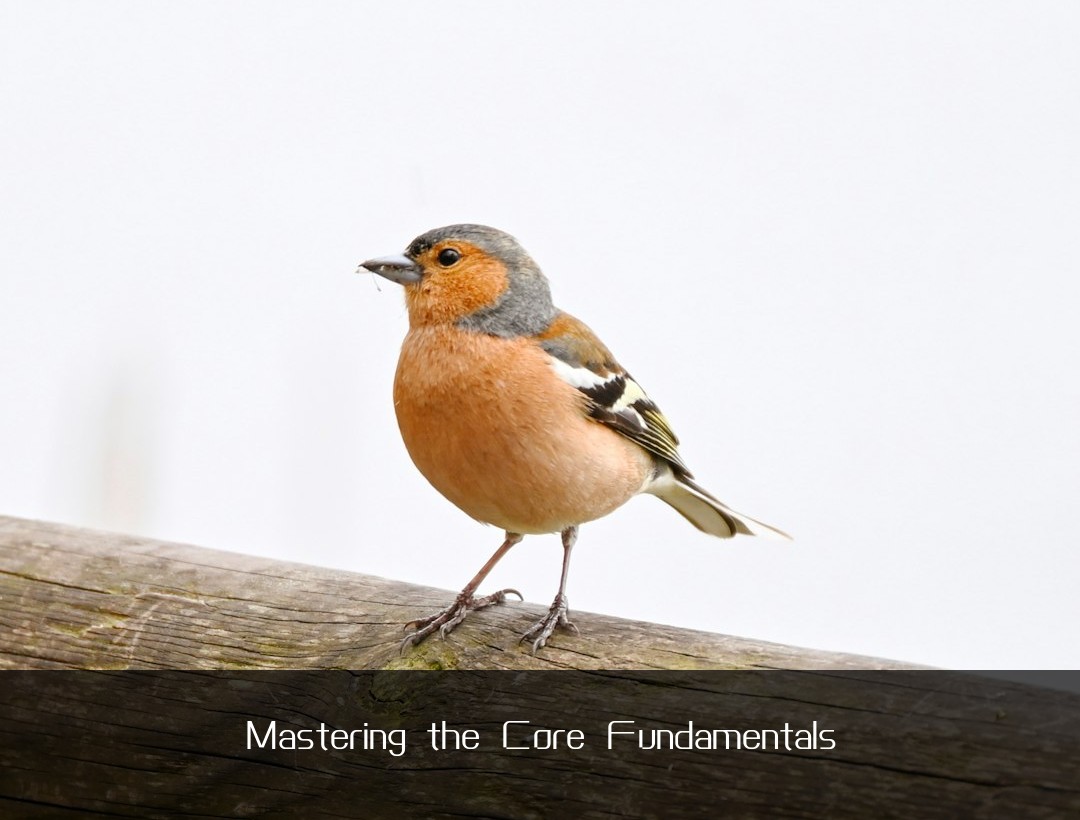 Mastering the Core Fundamentals